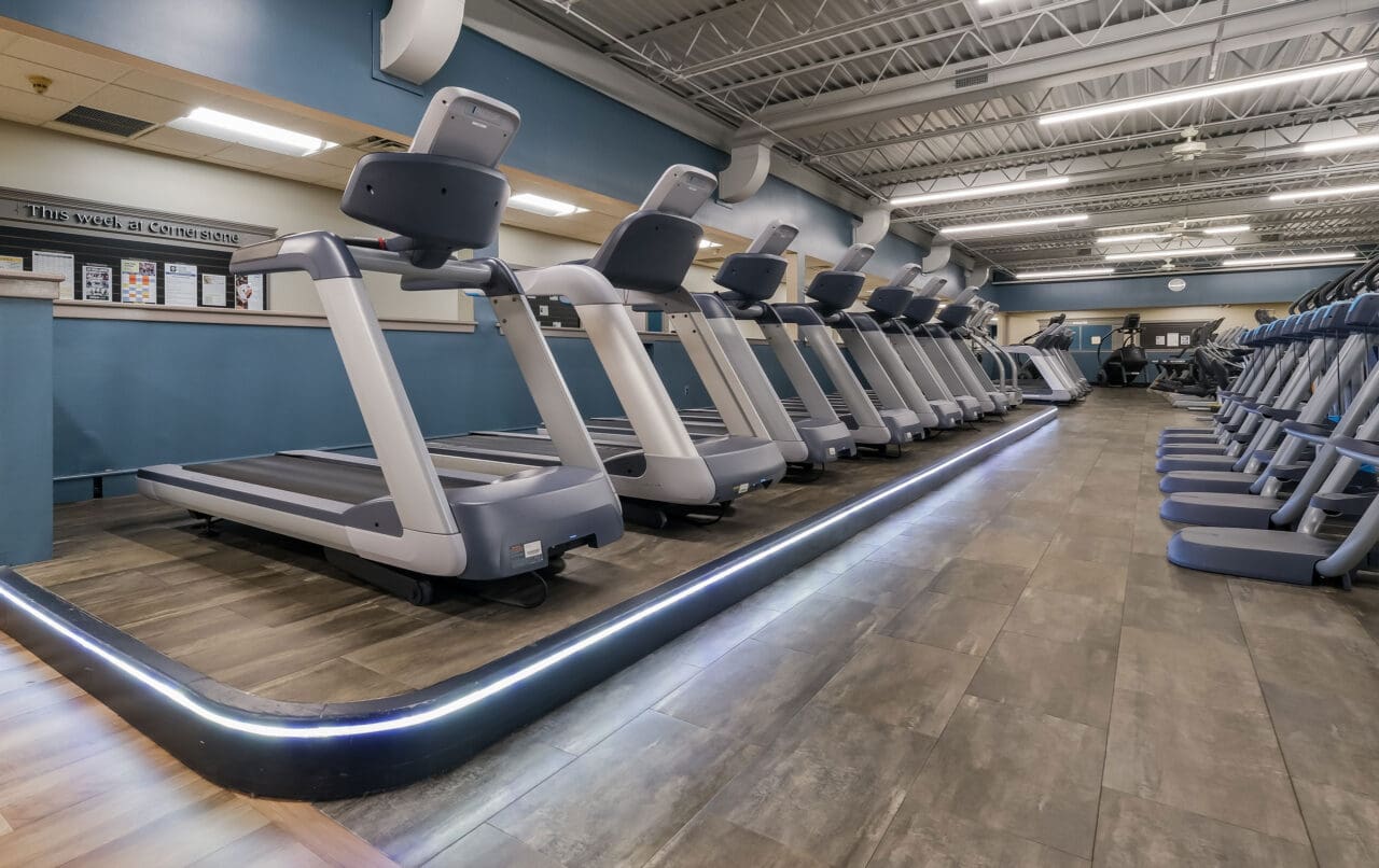 a row of treadmills raised on a cardio stage at a bucks county gym