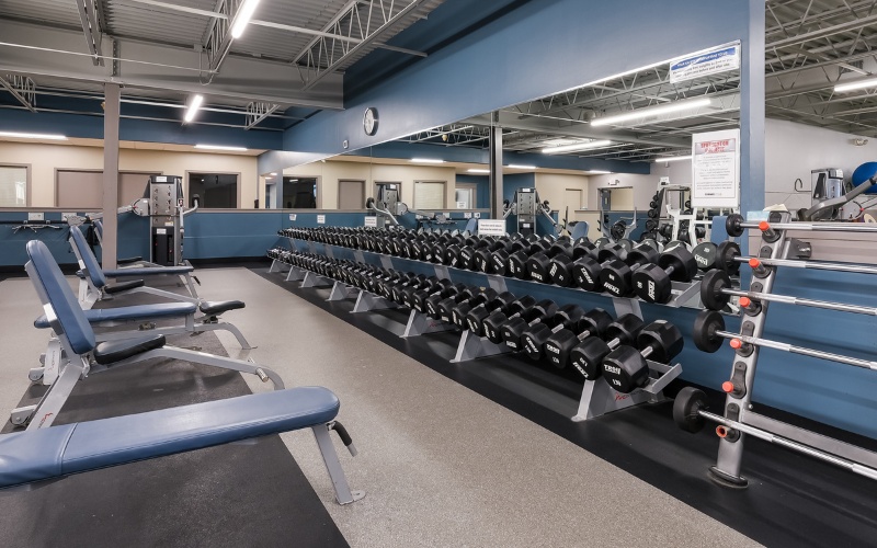 a row of free weights and strength training equipment at a modern furlong gym