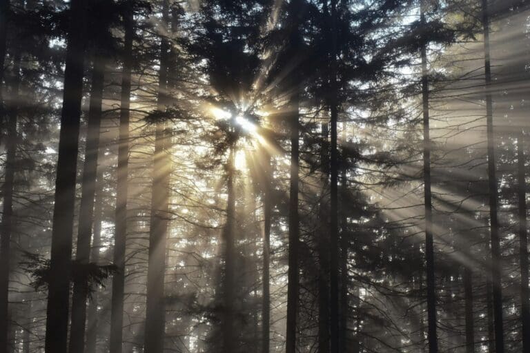 Bodys Story_ Ch 6_email