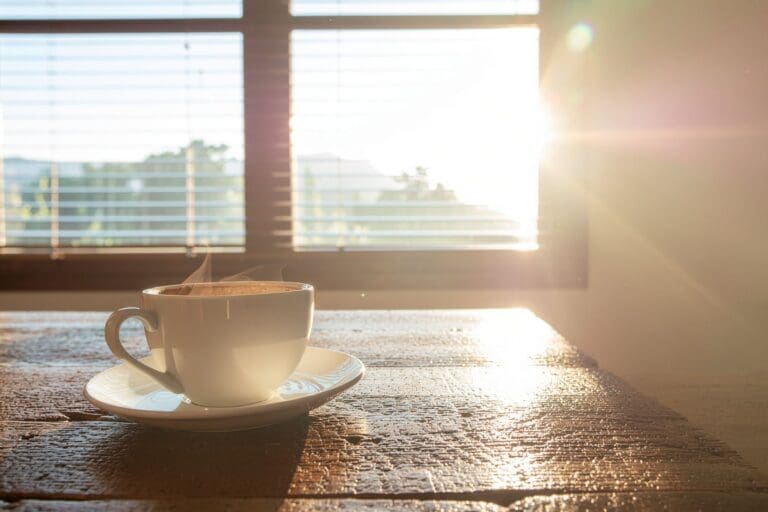 Bodys Story_email (1)