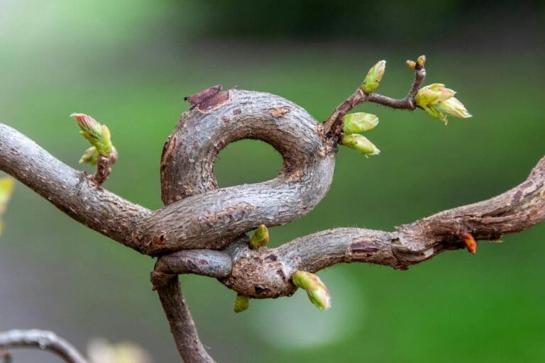 Bodys Story_email (5)