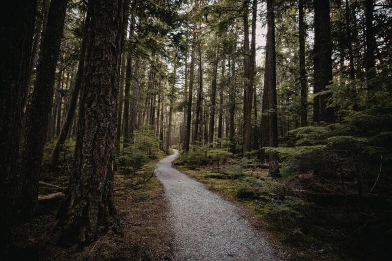 Bodys Story_email (8)